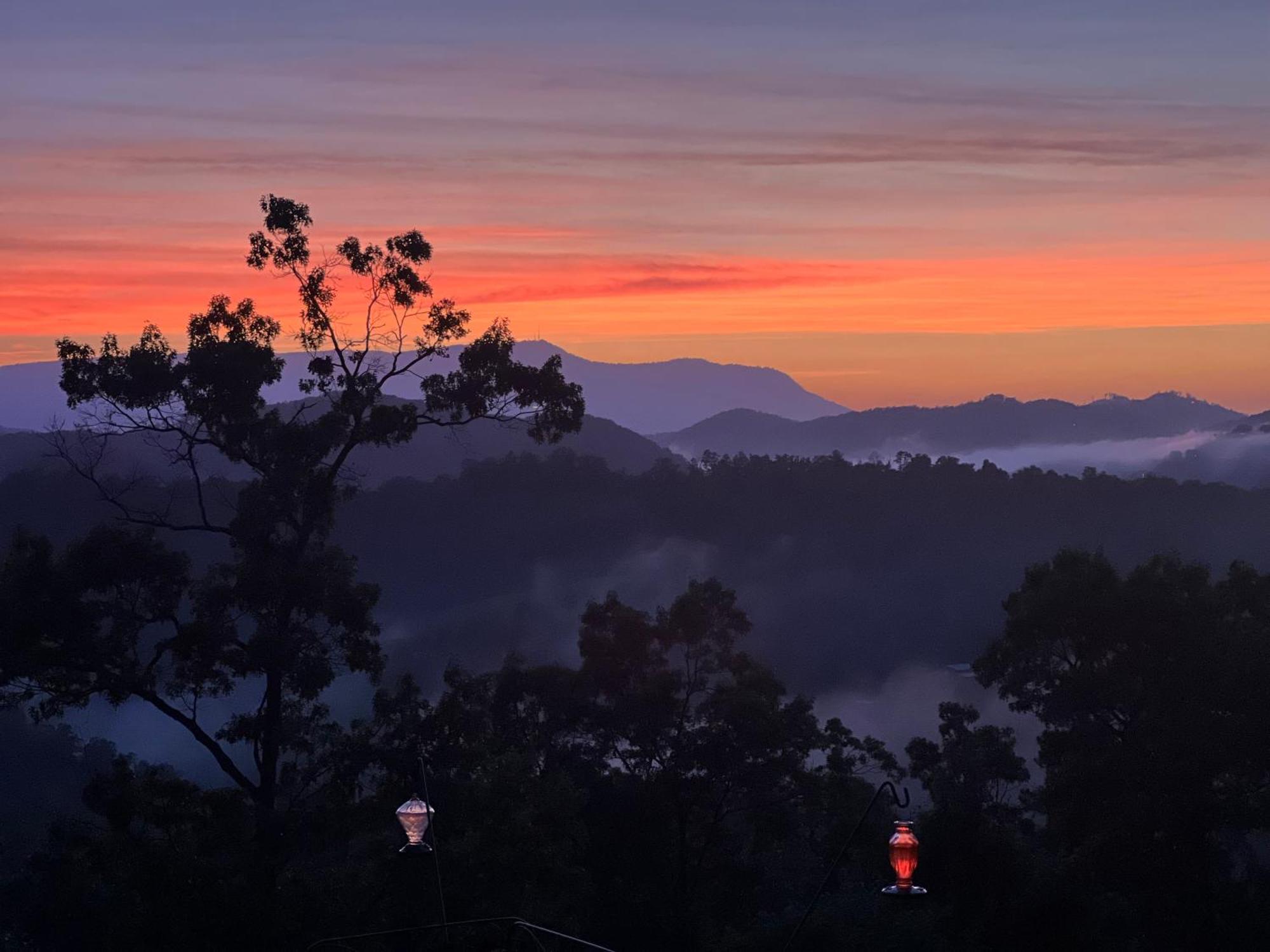 Smoky Best - Glowing Twilight ピジョンフォージ エクステリア 写真